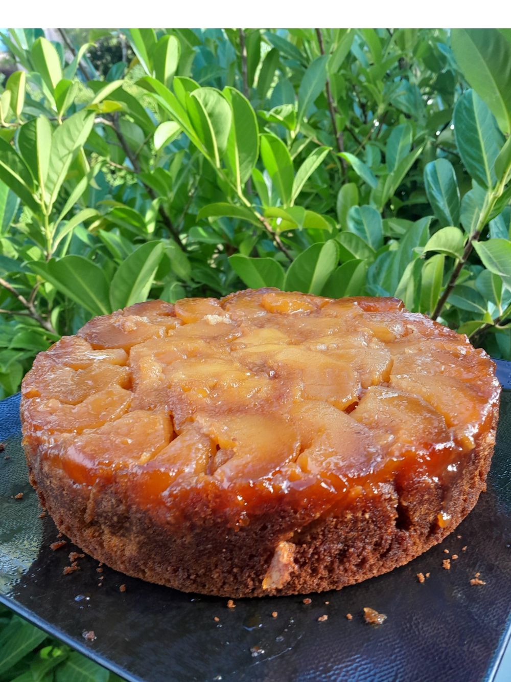 Les fruits ont la vedette dans un gâteau de saison ! Les fruits ont la vedette dans un gâteau de saison !